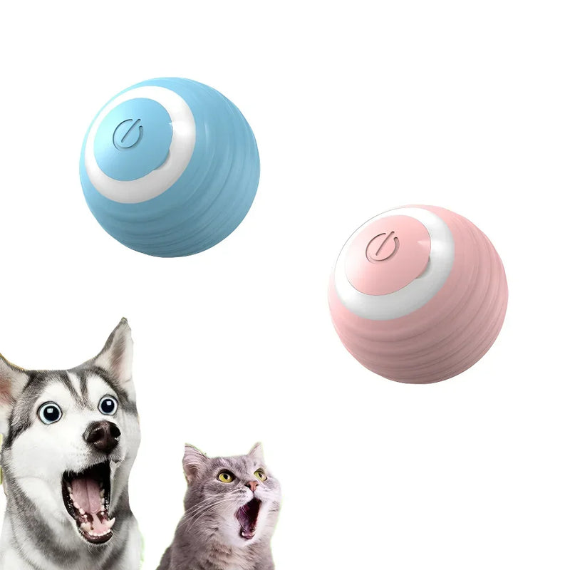 Bola interativa de brinquedo Gato