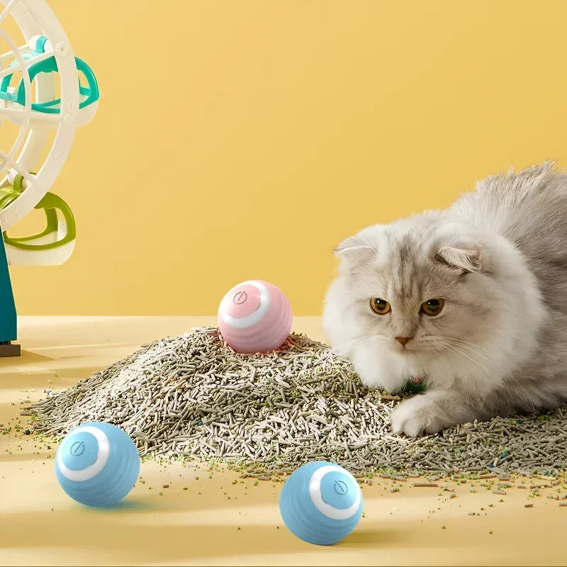 Bola interativa de brinquedo Gato
