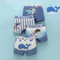 Conjunto de 4 Cuecas Infantis para Meninos
